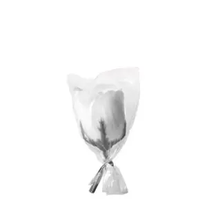 Rosa de Jabón Perfumada