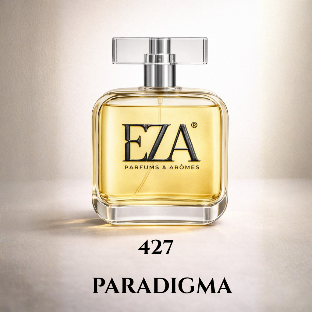 427.Paradigma